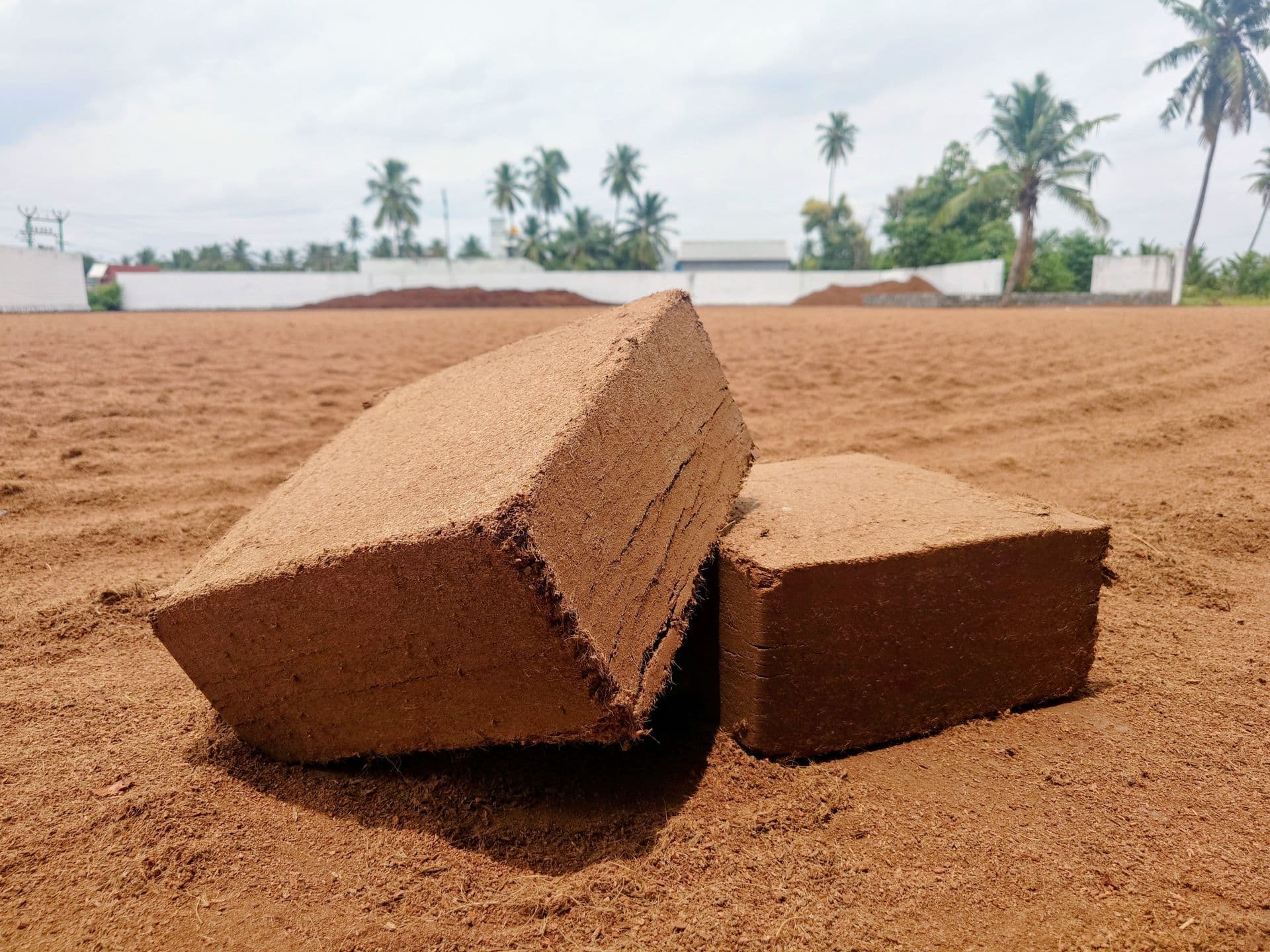 Cocopeat
