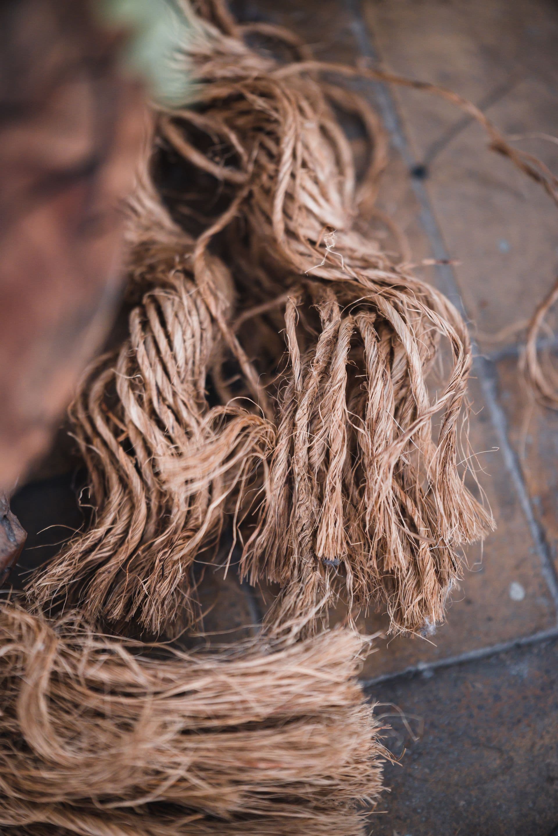 Coconut Fiber