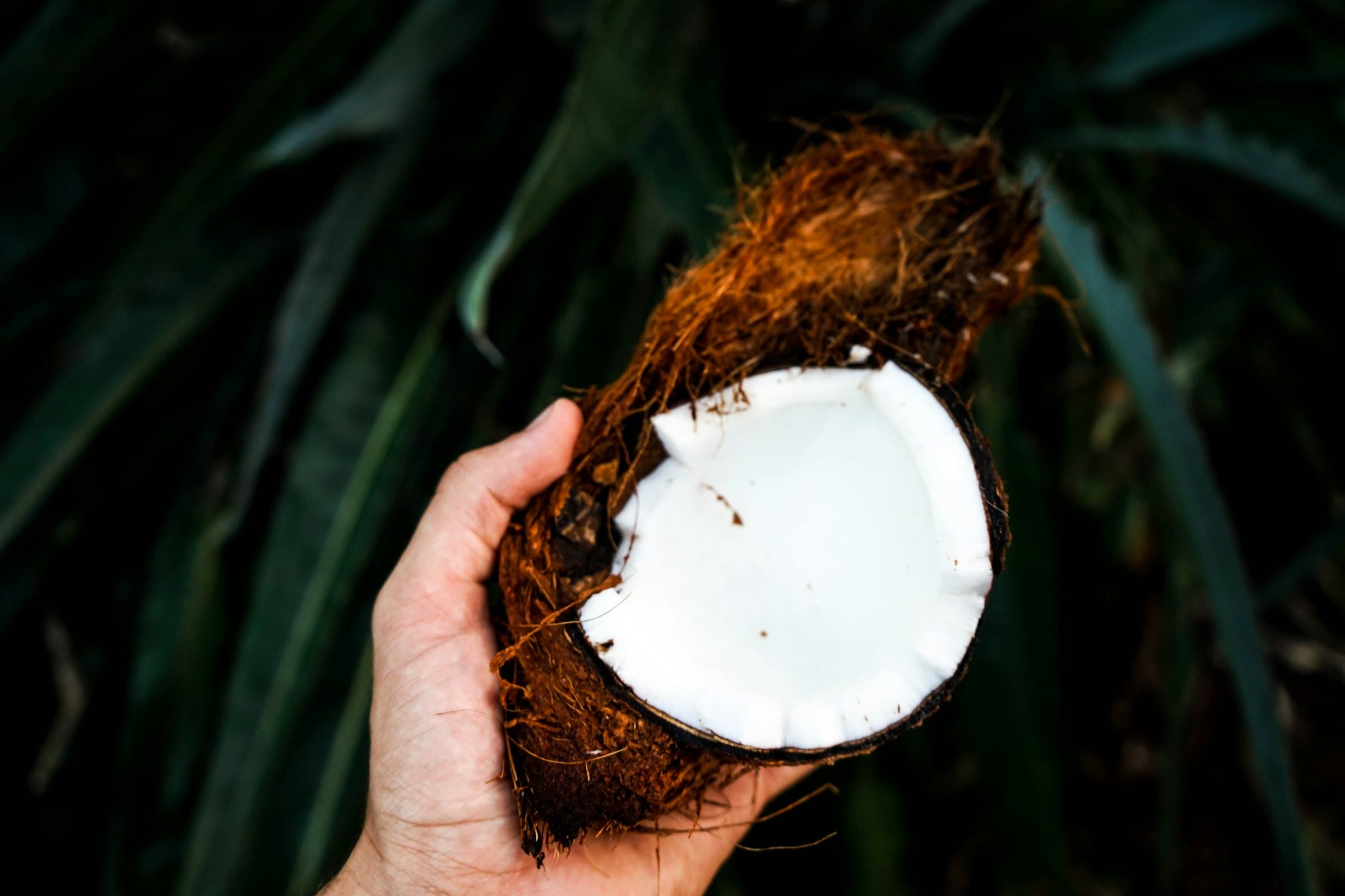 Coconut Products