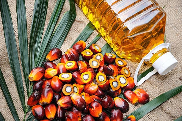 Virgin coconut oil and fresh coconut