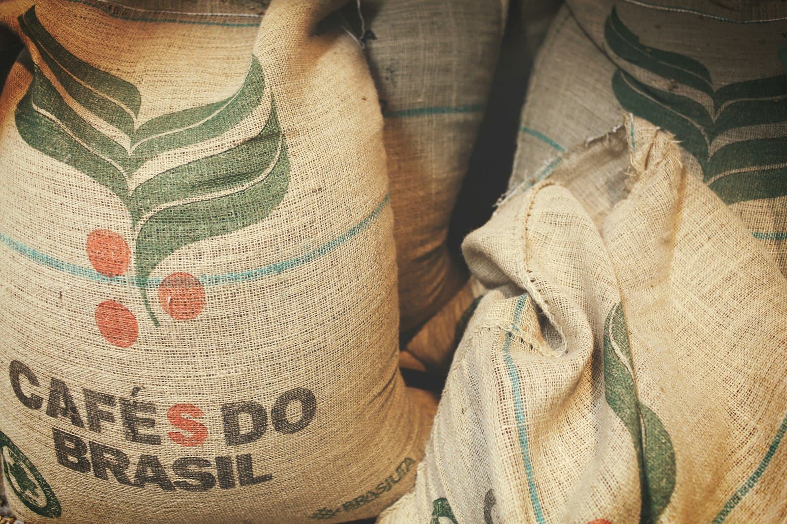 Ringgit Arabica