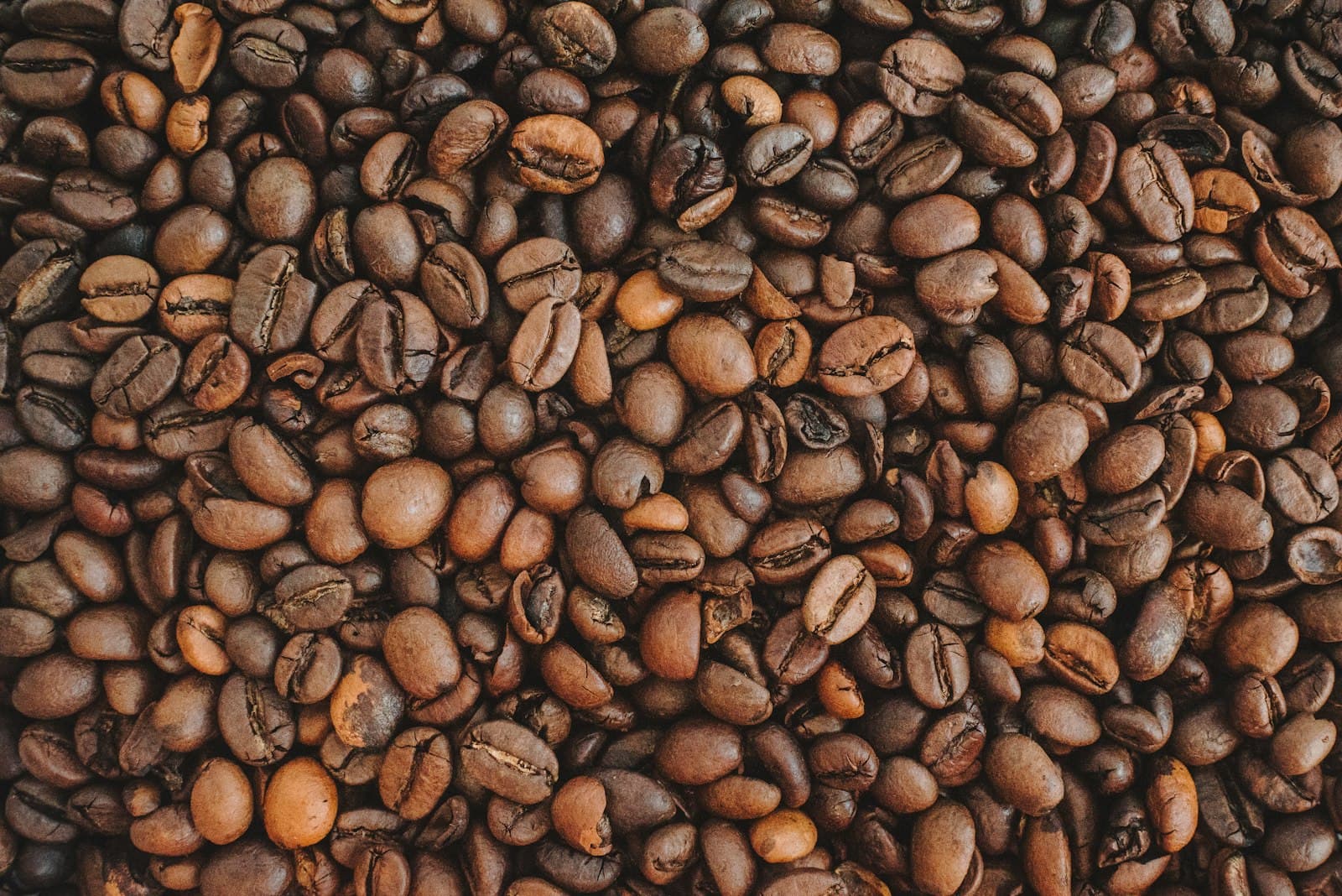 Ijen Arabica