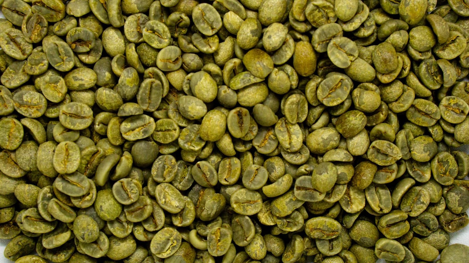 Gayo Arabica