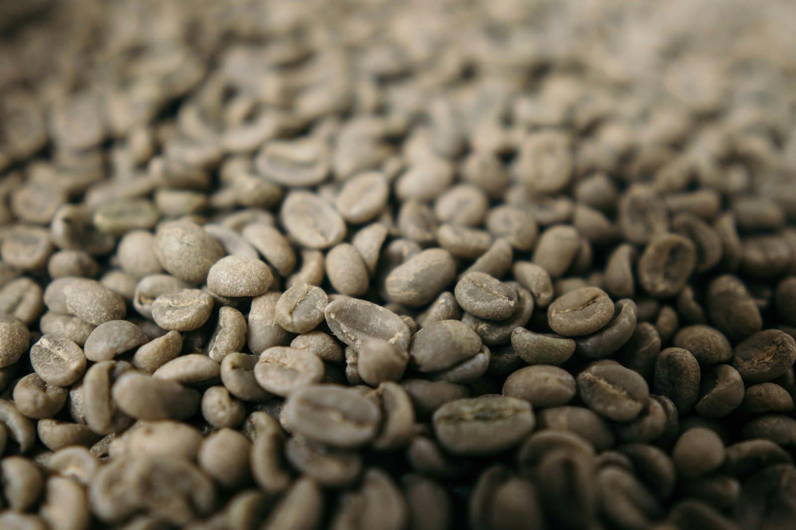 Ijen Arabica
