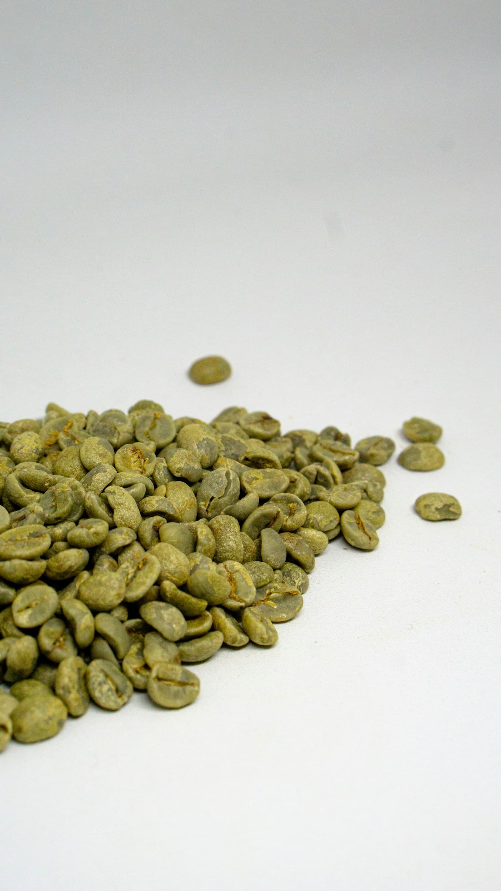 Java Arabica