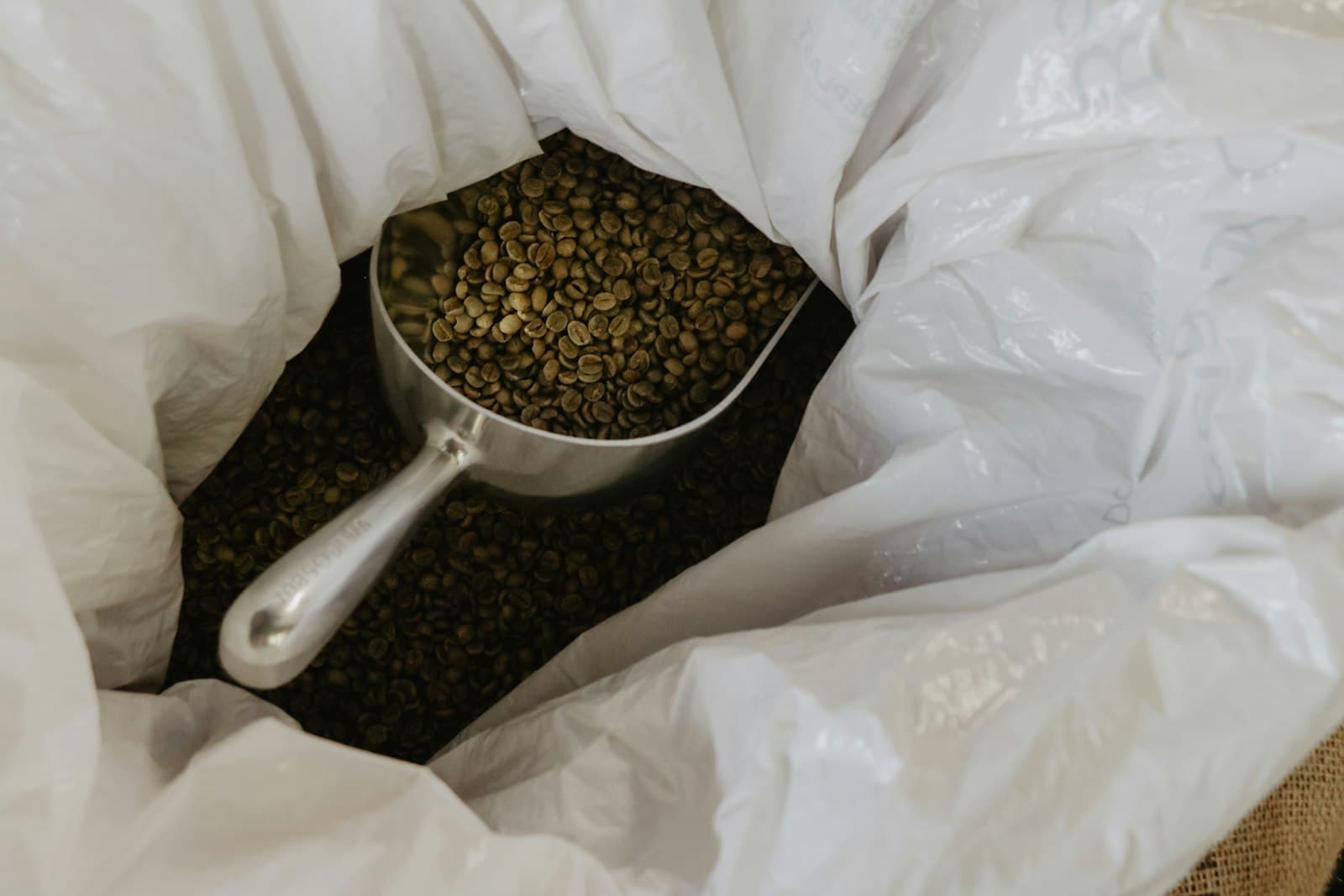 Arjuno Arabica