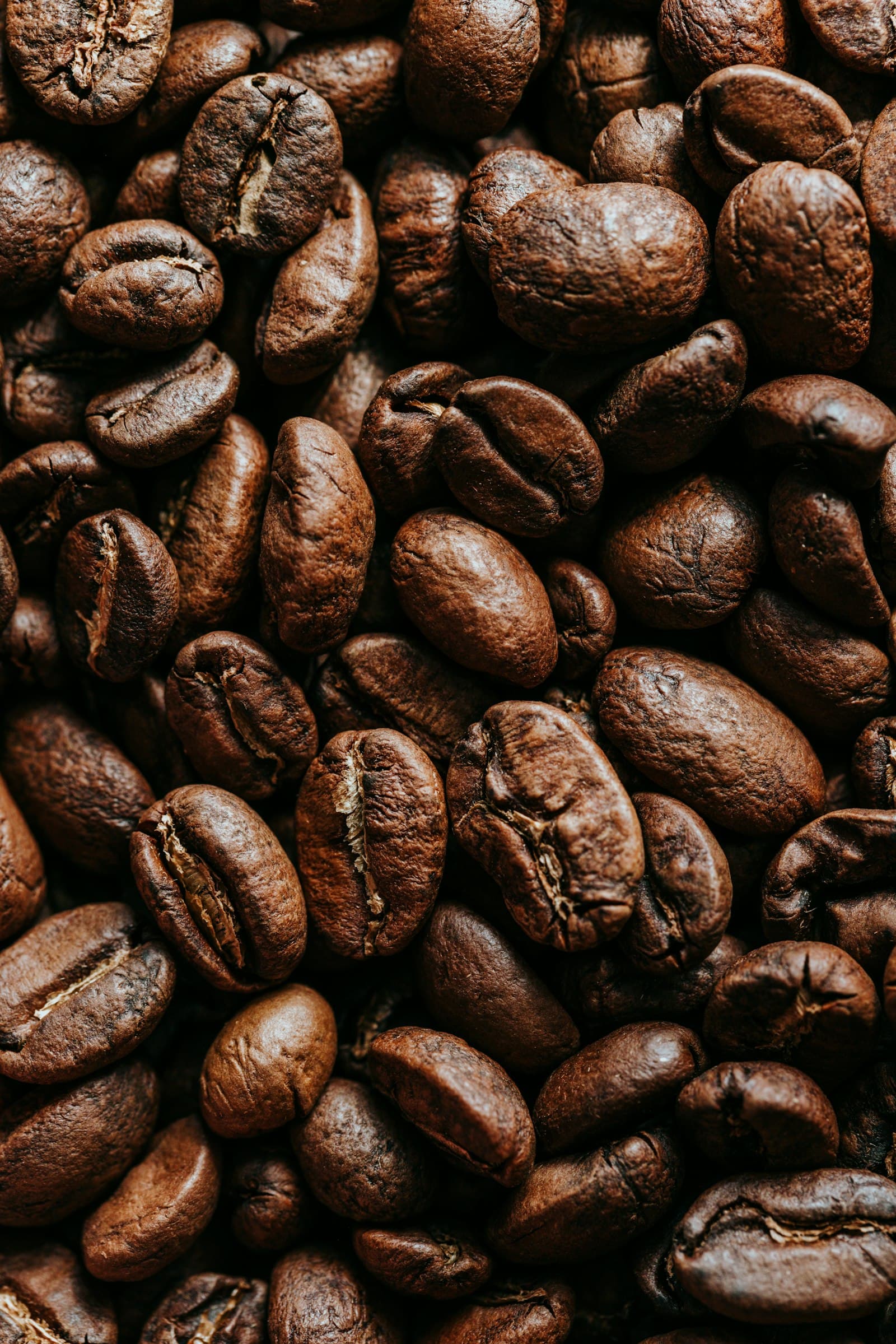 Java Arabica