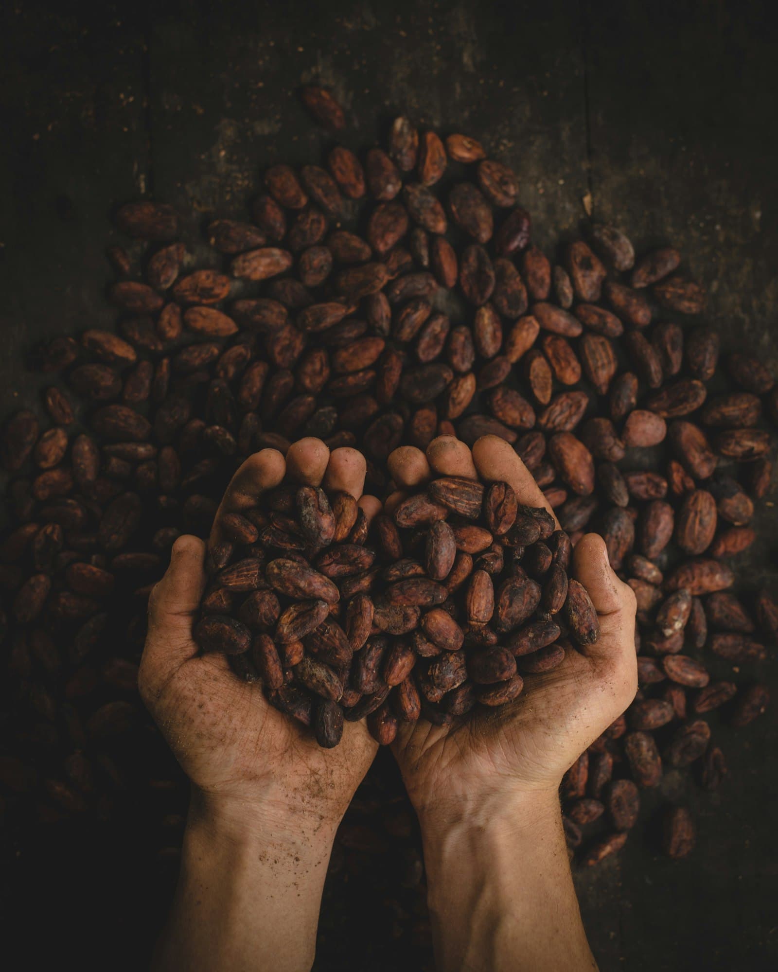 Ringgit Arabica