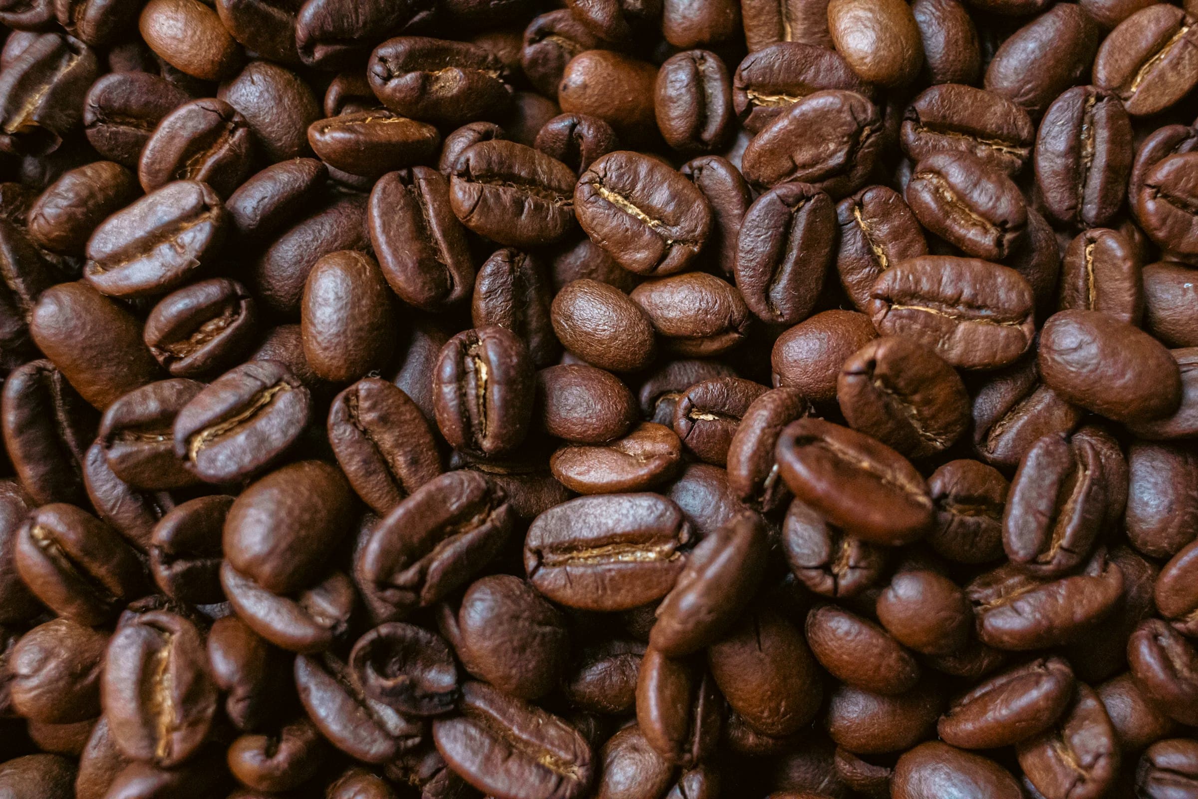 Arjuno Arabica