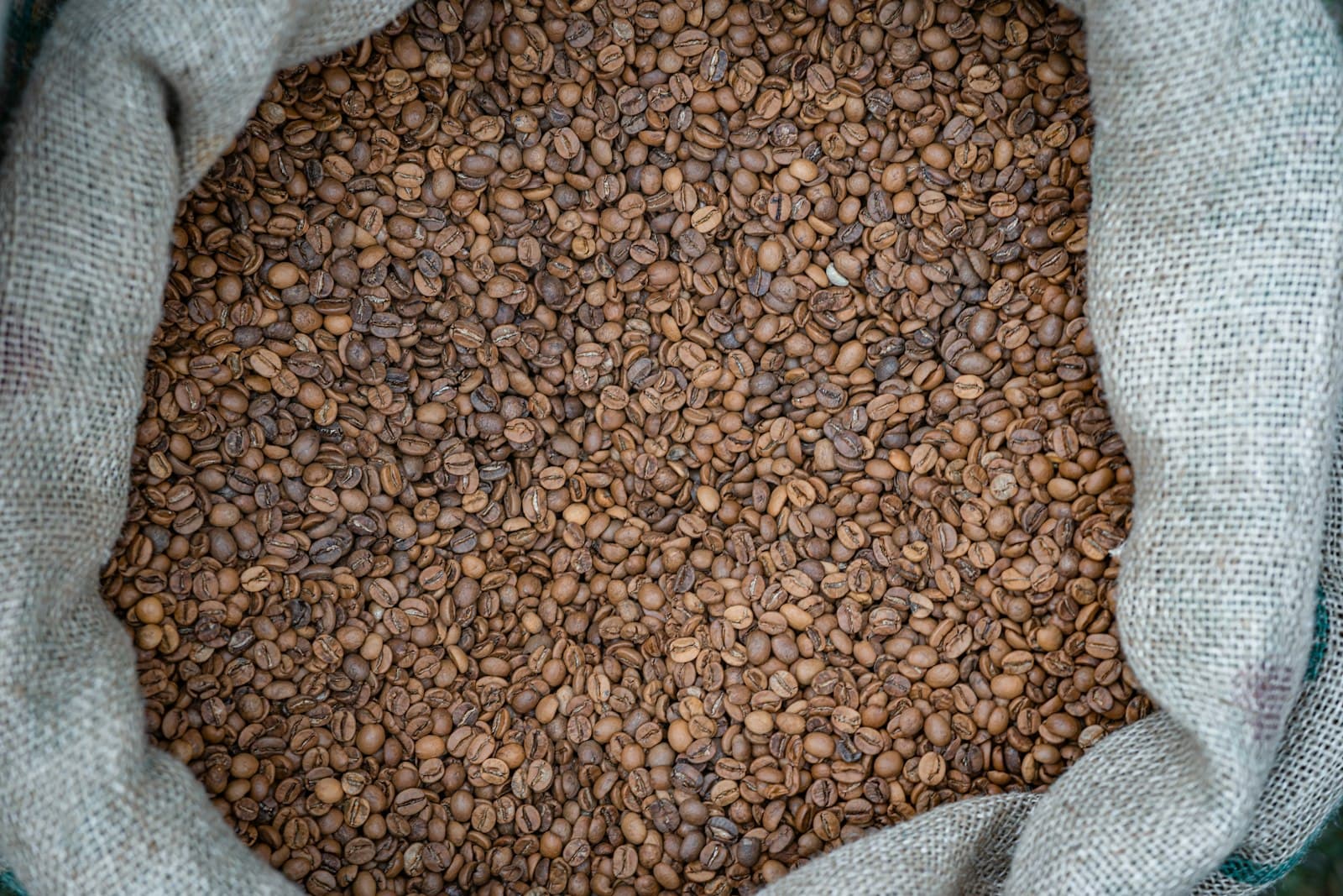 Ijen Arabica
