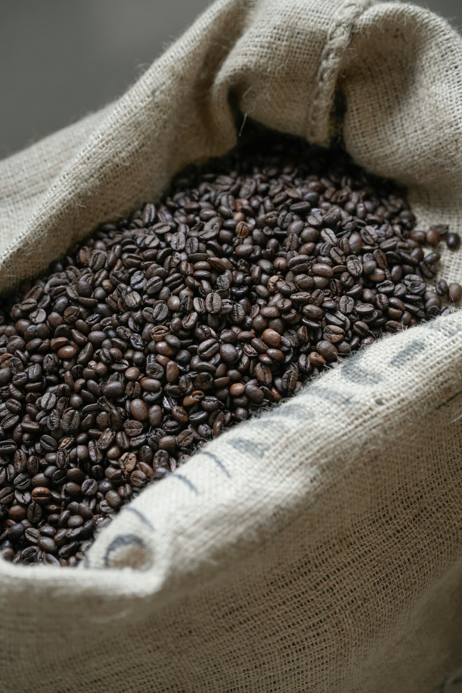 Arjuno Arabica