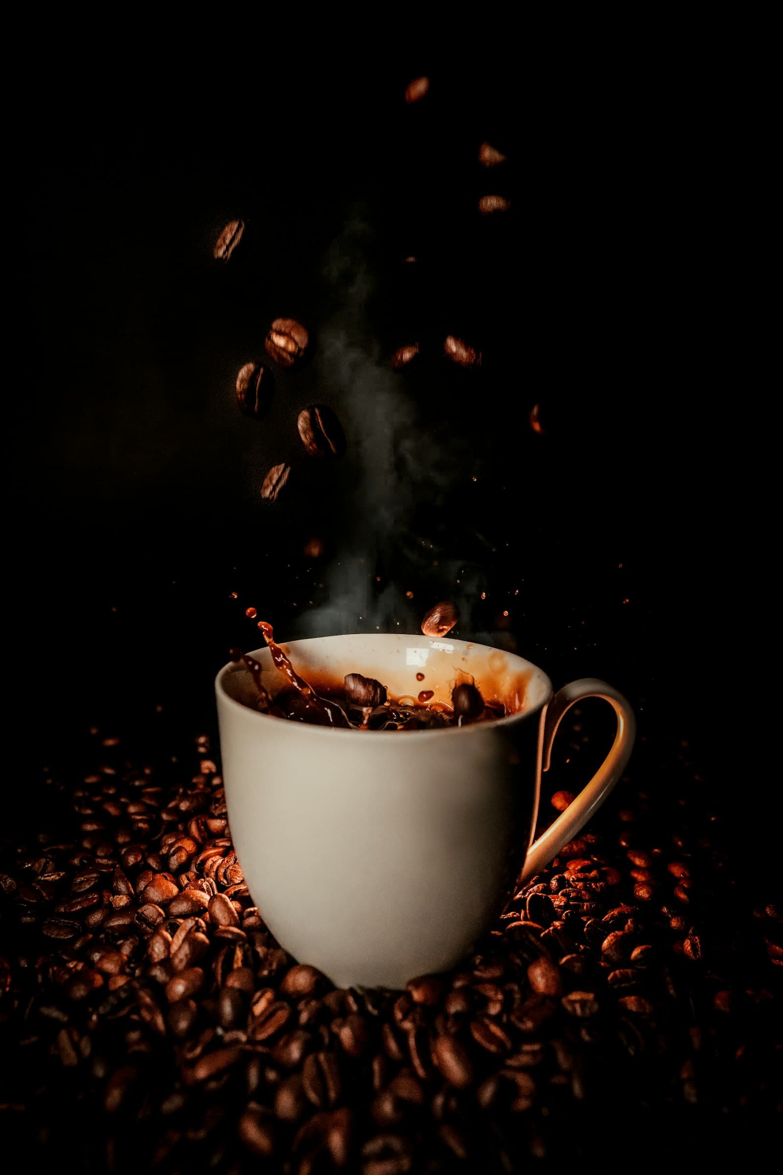 Arjuno Robusta