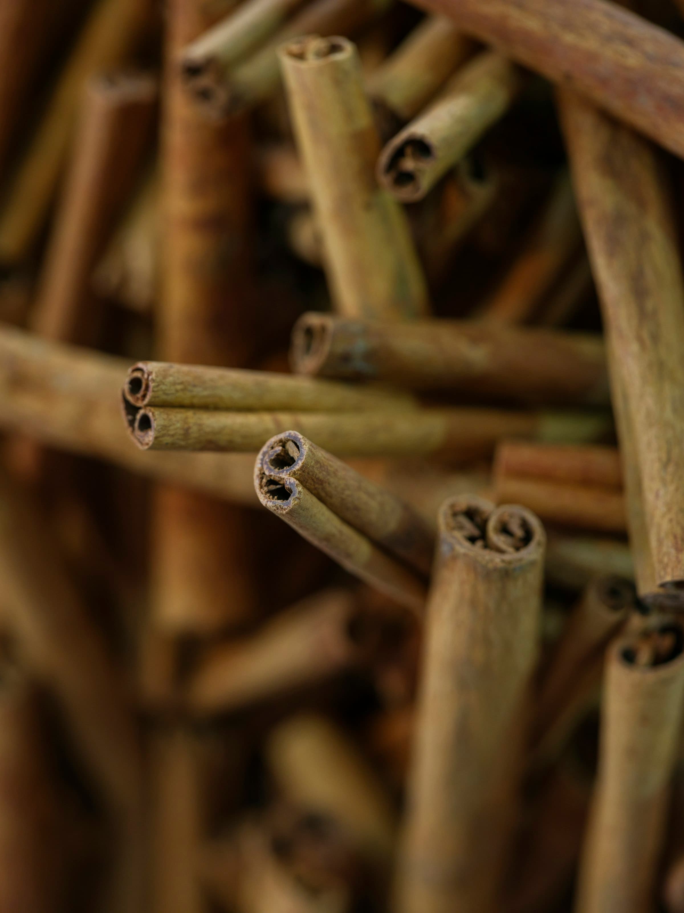 Dried cinnamon sticks